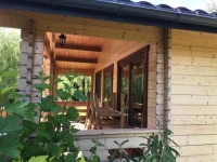 Borowiak 1*