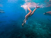 FIHALHOHI MALDIVES (EX. FIHALHOHI ISLAND RESORT) 3*