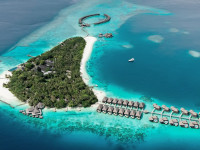 COCO BODU HITHI 