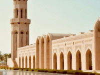 SWISS BELINN MUSCAT