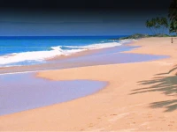 OM SAI BEACH HUTS AGONDA 5*