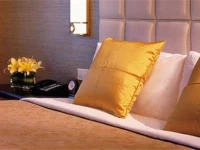 PRIMUS HOTEL SHANGHAI SANJIAGANG 5*
