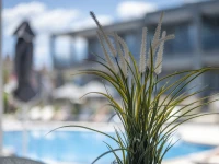 DIONYSOS HOTEL & SUITES 3*