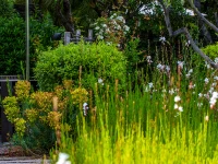 MUSE SAINT-TROPEZ 5*