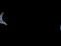 BELLAVISTA 3*