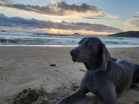 PERLA 3*
