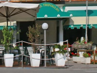 TRIFOGLIO 3*