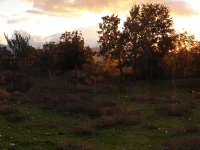 VILLA LAURA 3*