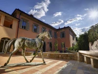 VILLE SULL'ARNO 5*