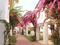 CLUB KASTALIA 5*