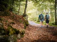 APPARTEMENTVERMITTLUNG THERMENBLICK 3*