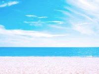 SEA LION BEACH RESORT & SPA 4*