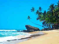 SAYURA BEACH HOTEL 4*