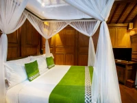 ARYA VILLAS UBUD 4*