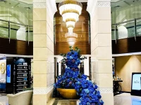 LAGOONA BEACH LUXURY RESORT & SPA 5*