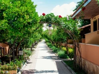 Ozlem Garden 3*