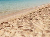 Papouis Protaras Hotel (ex.smartline Protaras) 3*