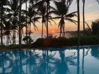 Turtle Bay 4*