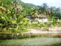 La Mami River Beach - Caribean House 3*