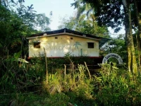 SunCampDR 2*