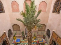 Riad Mostafa 