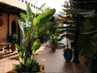Riad Zaytoun 