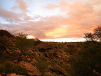 Hochland Nest Lodge