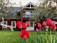 Villa Sofia 