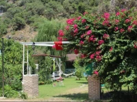 Narcicegi Hotel 