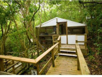 Maho Bay Camps