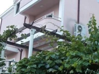 Villa Nino 