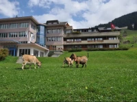 Hotel Alpina Adelboden 3*