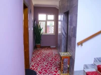 Damu Hotel 3*