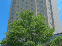 Grand Hotel New Oji
