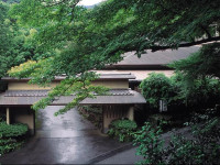 Tsubaki