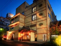 Hotel Tsubakino 4*
