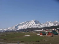 Boskovica Brvnare 