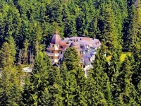 Festa Winter Palace 5*