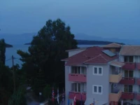 Palmyra 2*