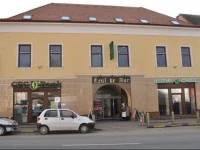 Hotel Leul de Aur 