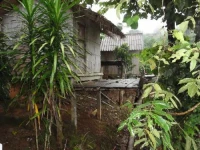 Akha Hill House 2*