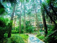 Grace Garden Hotel 