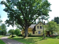 Kalbakas 