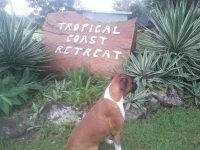 Tropical Coast Retreat 4*