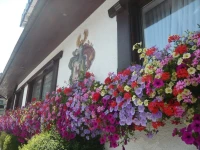 Hotel Karlwirt 3*