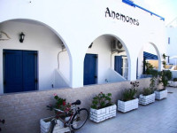 Anemones