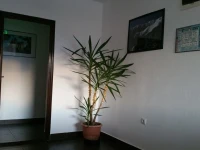 Rosenville 3*