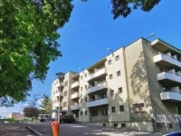Hotel Timisoara Sannicolau Mare 3*