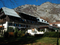 Zlatorog