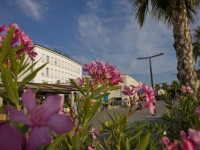 Koper